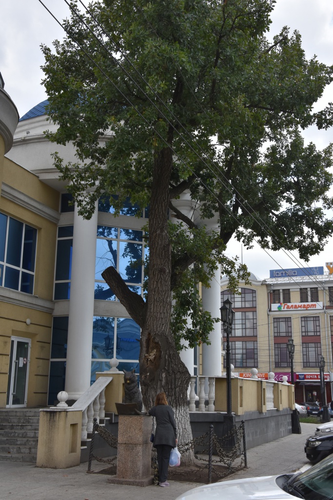 «Исторические деревья» станут уникальными арт-объектами Оренбурга